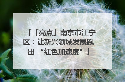 「亮点」南京市江宁区：让新兴领域发展跑出 “红色加速度”