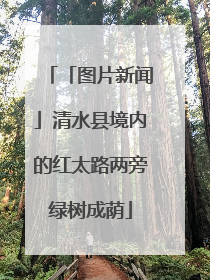 「图片新闻」清水县境内的红太路两旁绿树成荫