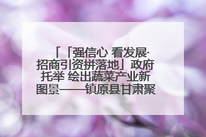 「强信心 看发展·招商引资拼落地」政府托举 绘出蔬菜产业新图景——镇原县甘肃聚广利现代设施蔬菜种植基地见闻