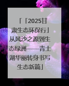 「2025甘肃生态环保行」从风沙之源到生态绿洲——青土湖华丽转身书写生态新篇