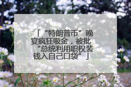 “特朗普币”晚宴疯狂吸金，被批“总统利用职权装钱入自己口袋”