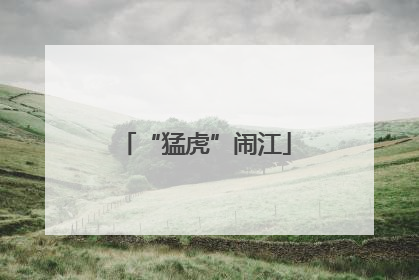 “猛虎”闹江