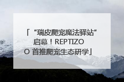 “瑞皮爬宠魔法驿站” 启幕！REPTIZOO 首推爬宠生态研学