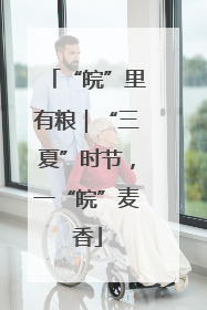 “皖”里有粮｜“三夏”时节，一“皖”麦香
