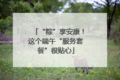 “粽”享安康！这个端午“服务套餐”很贴心