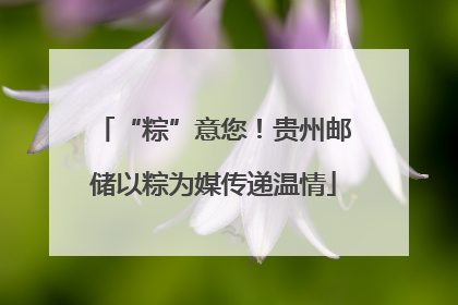 “粽”意您！贵州邮储以粽为媒传递温情