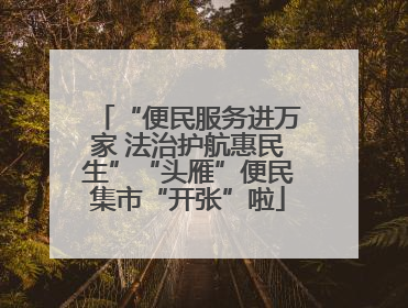 “便民服务进万家 法治护航惠民生”“头雁”便民集市“开张”啦