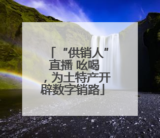 “供销人” 直播 吆喝，为土特产开辟数字销路