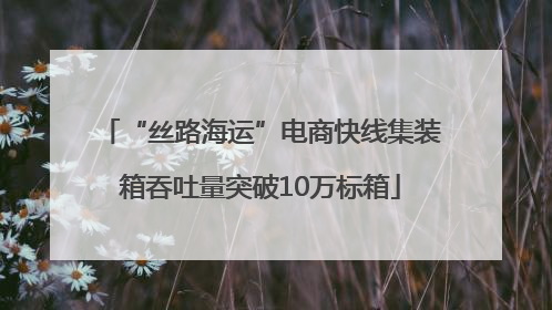 “丝路海运”电商快线集装箱吞吐量突破10万标箱