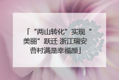 “两山转化”实现“美丽”跃迁 浙江瑞安曹村满是幸福颜