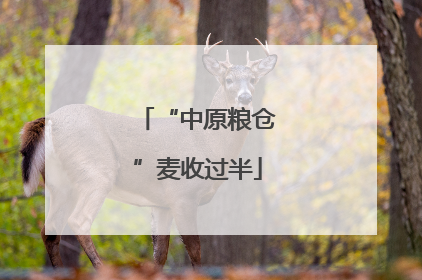 “中原粮仓”麦收过半