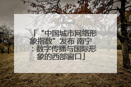 “中国城市网络形象指数”发布 南宁：数字传播与国际形象的西部窗口