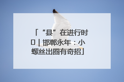 “县”在进行时⑬｜邯郸永年：小螺丝出圈有奇招