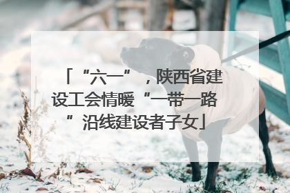 “六一”，陕西省建设工会情暖“一带一路”沿线建设者子女