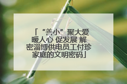 “善小”聚大爱 暖人心 促发展 解密淄博供电员工付珍家庭的文明密码
