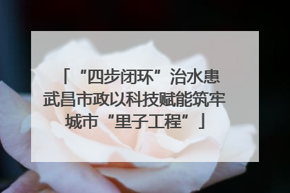 “四步闭环”治水患 武昌市政以科技赋能筑牢城市“里子工程”