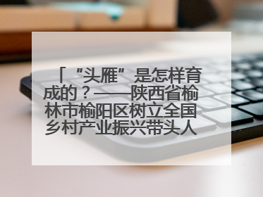 “头雁”是怎样育成的？——陕西省榆林市榆阳区树立全国乡村产业振兴带头人培育标杆