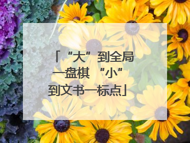 “大”到全局一盘棋 “小”到文书一标点