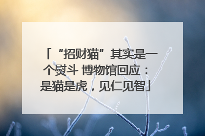 “招财猫”其实是一个熨斗 博物馆回应：是猫是虎，见仁见智