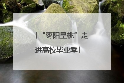 “枣阳皇桃”走进高校毕业季