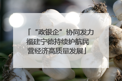 “政银企”协同发力 福建宁德持续护航民营经济高质量发展
