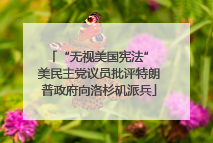 “无视美国宪法” 美民主党议员批评特朗普政府向洛杉矶派兵