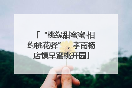 “桃缘甜蜜蜜·相约桃花驿”，孝南杨店镇早蜜桃开园