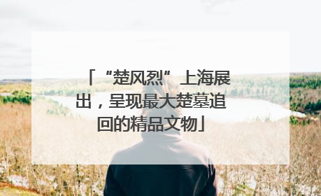 “楚风烈”上海展出，呈现最大楚墓追回的精品文物