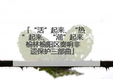 “活”起来、“热”起来、“潮”起来 榆林榆阳区奏响非遗保护三部曲