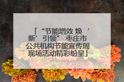 “节能增效 焕‘新’引领” 枣庄市公共机构节能宣传周现场活动精彩纷呈