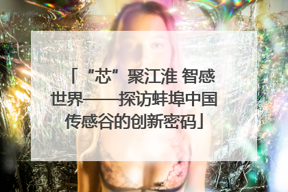 “芯”聚江淮 智感世界——探访蚌埠中国传感谷的创新密码