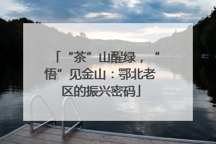 “茶”山醒绿，“悟”见金山：鄂北老区的振兴密码