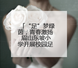 “足”梦绿茵，青春激扬 眉山东坡小学开展校园足球比赛