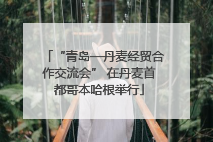 “青岛—丹麦经贸合作交流会” 在丹麦首都哥本哈根举行