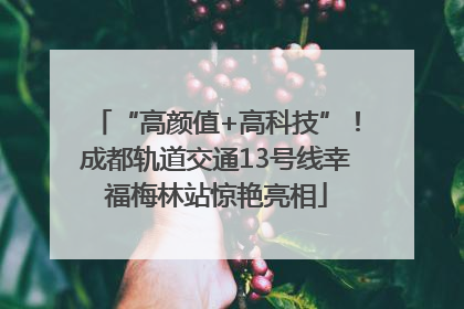 “高颜值+高科技”！成都轨道交通13号线幸福梅林站惊艳亮相