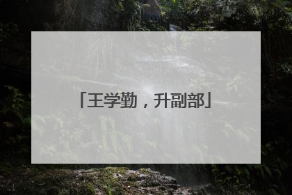 王学勤，升副部
