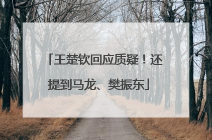 王楚钦回应质疑！还提到马龙、樊振东