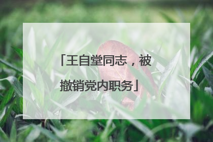 王自堂同志，被撤销党内职务