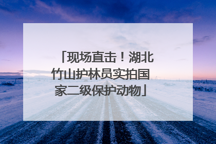 现场直击！湖北竹山护林员实拍国家二级保护动物