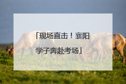 现场直击！襄阳学子奔赴考场