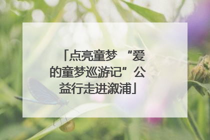 点亮童梦 “爱的童梦巡游记”公益行走进溆浦