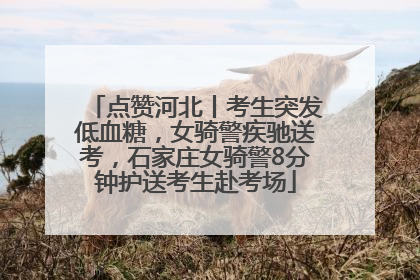 点赞河北丨考生突发低血糖，女骑警疾驰送考，石家庄女骑警8分钟护送考生赴考场