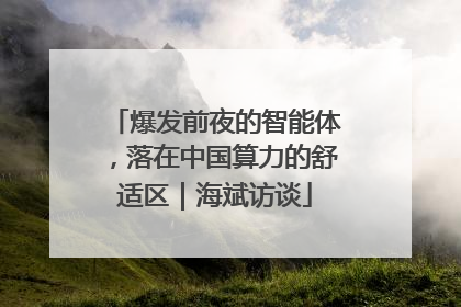 爆发前夜的智能体，落在中国算力的舒适区｜海斌访谈