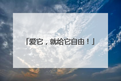 爱它，就给它自由！