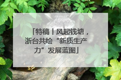 特稿丨风起钱塘，浙台共绘“新质生产力”发展蓝图