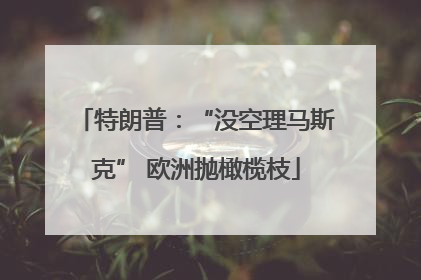 特朗普：“没空理马斯克” 欧洲抛橄榄枝