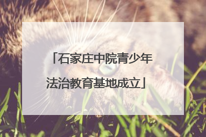 石家庄中院青少年法治教育基地成立
