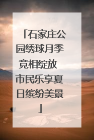 石家庄公园绣球月季竞相绽放 市民乐享夏日缤纷美景