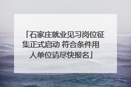 石家庄就业见习岗位征集正式启动 符合条件用人单位请尽快报名