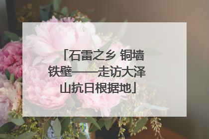 石雷之乡 铜墙铁壁——走访大泽山抗日根据地